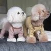 Pet Bigbear Dog Clothing Striped Quad Teddy Pomeranian Puppy Bag Belly Coral Fleece Coral Fleece Thickened