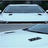 Universal Car Front Bonnet Vents Hood Fender Decorative Carbon Fiber Look 1 Pair