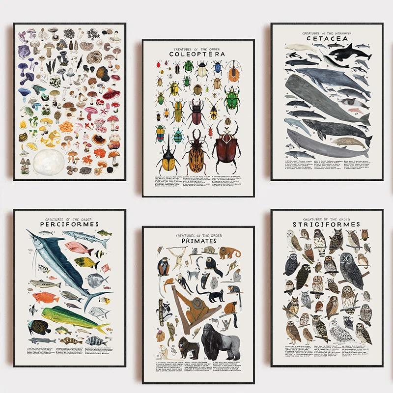 Woodland Animals Genus Generic evolution Nursery Posters Child Educate Prints Canvas Painting Wall Art Pictures Room Home Decor