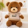 Stuffed Bear Plush Animal With Removable Hoodie Cozy Bedtime Companion For Kids