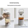 Buydeem Tea Infuser Glass Bottle