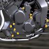1 Set Motorcykel Skruvkapselskydd Huvud Kropp Dekorativ Motor Mutter Bult Kapsel Universal Bil Motorcykel Cykel Dekoration Tillbehör