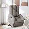 VidaXL Recliner, Relaxation Chair with Adjustable Backrest and Footrest, Living Room Seat, 3204100