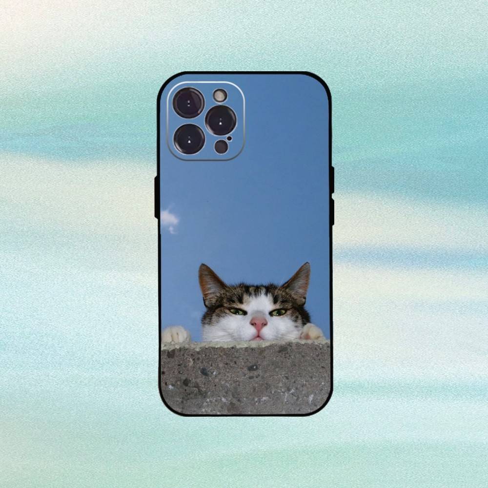 Cool Cat Cute Phone Case For iPhone17,16,15,14,13,12,Plus,Pro Max, 5G Others Soft Black Cover