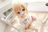 YR EARTH Heat-Resistant Doll Wig, 8-9 Inch, Ponytail, 1/3 Scale, BJD, SD, DD, MDD (Gold)