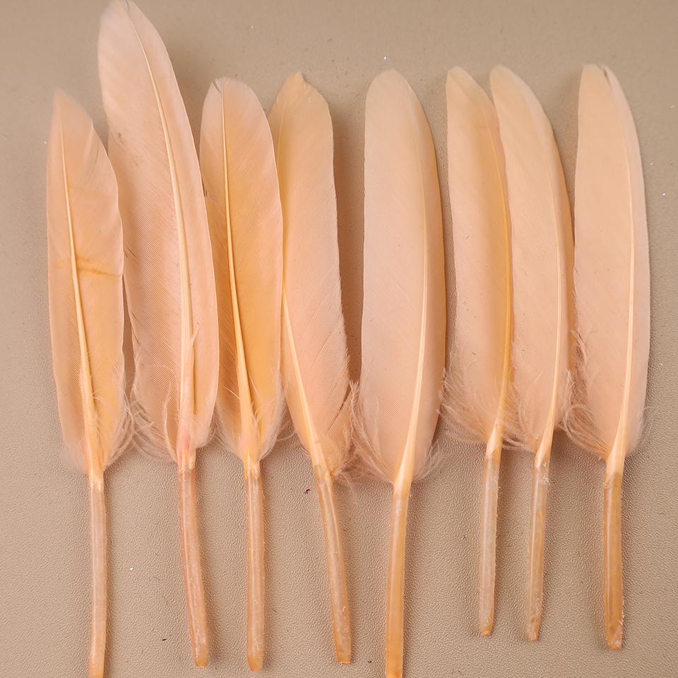 Duck Feathers for Clothes Handicraft Accessories White Golden Black Pink Peacock Goose Feather Plumas Handicraft Article