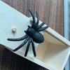 Funny Wooden Spider Box Hidden In Case Joke Gag Toy Halloween Gift