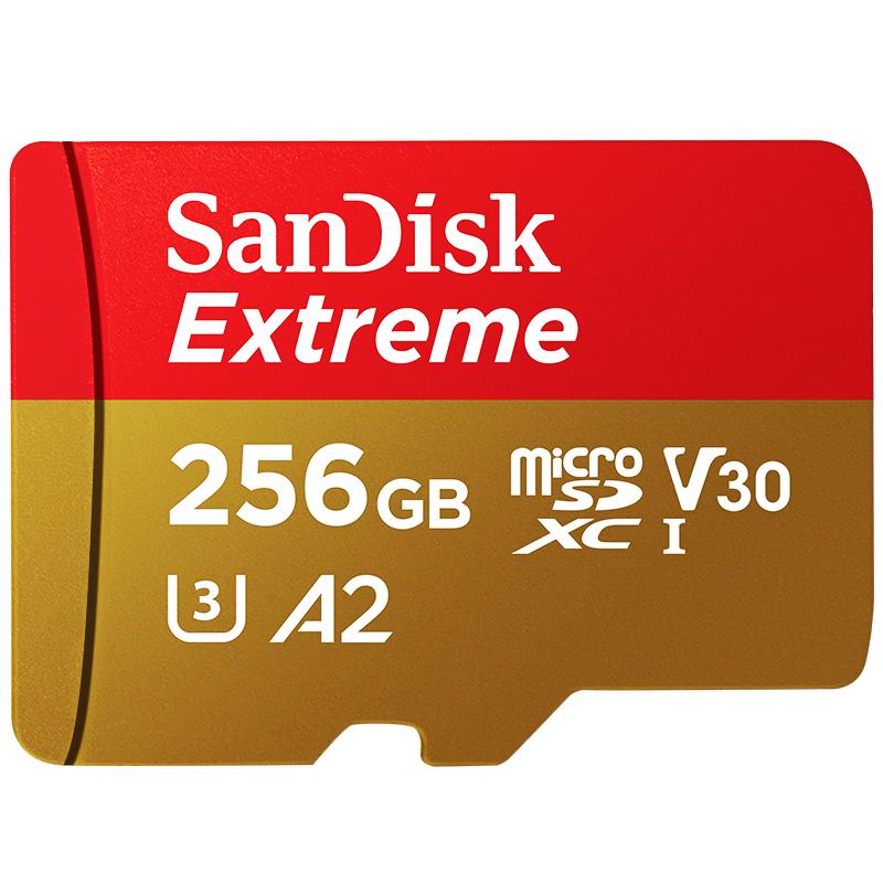 SanDisk microSD Memory Card