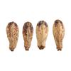 5 Bag Parrot Chew Nuts Relieve Boredom Sharpen Mouth Natural Home Decorative Dried Nut