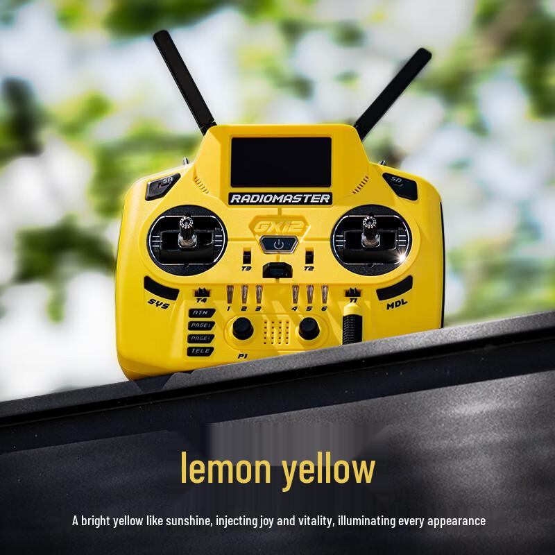 Transmissor RC Gemini ELRS RADIOMASTER GX12