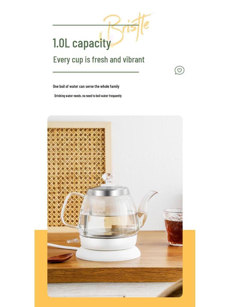 Transparenter elektrischer Wasserkocher mit großem Fassungsvermögen, automatischer Abschaltung und langem Ausguss zum Teekochen