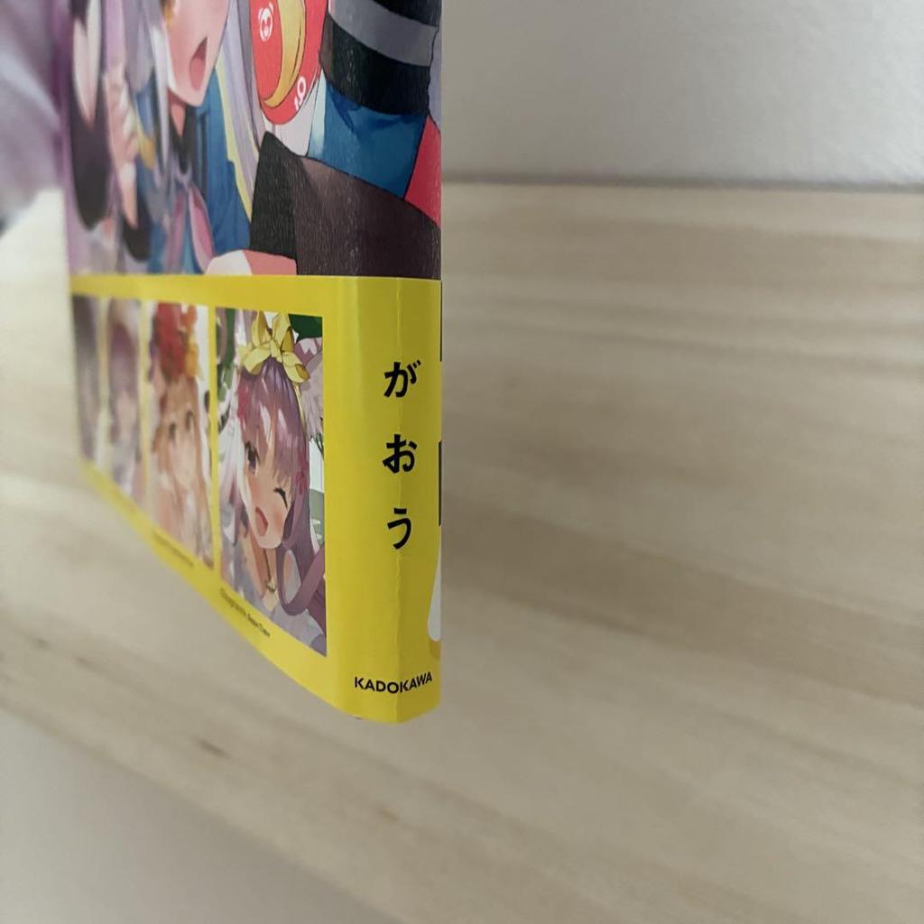 [USED] Gaou Selfie Girl Art Book Illustration Book