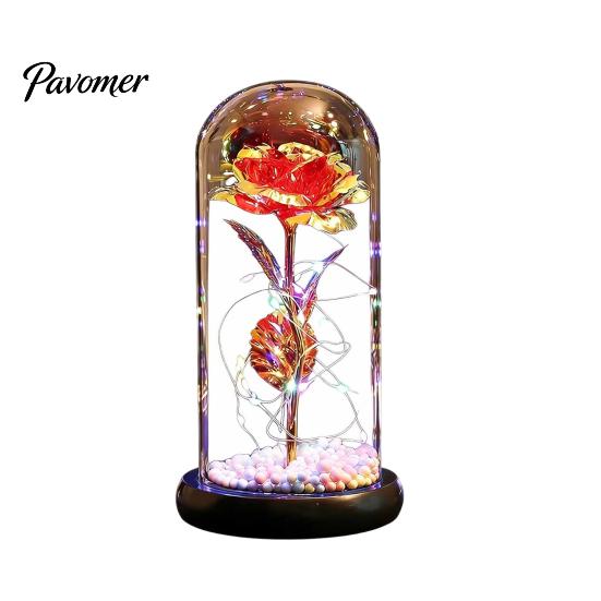 Birthday Rose Present Flower Gifts for Her Mom Wife Grandma Light Up Eternal Gift in A Dome Romantic Anniversary Valentine's Day Christmas