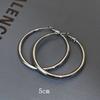 Cold Wind Plain Ring Earrings, Retro Circle Niche Temperament Light Luxury Simple Earrings