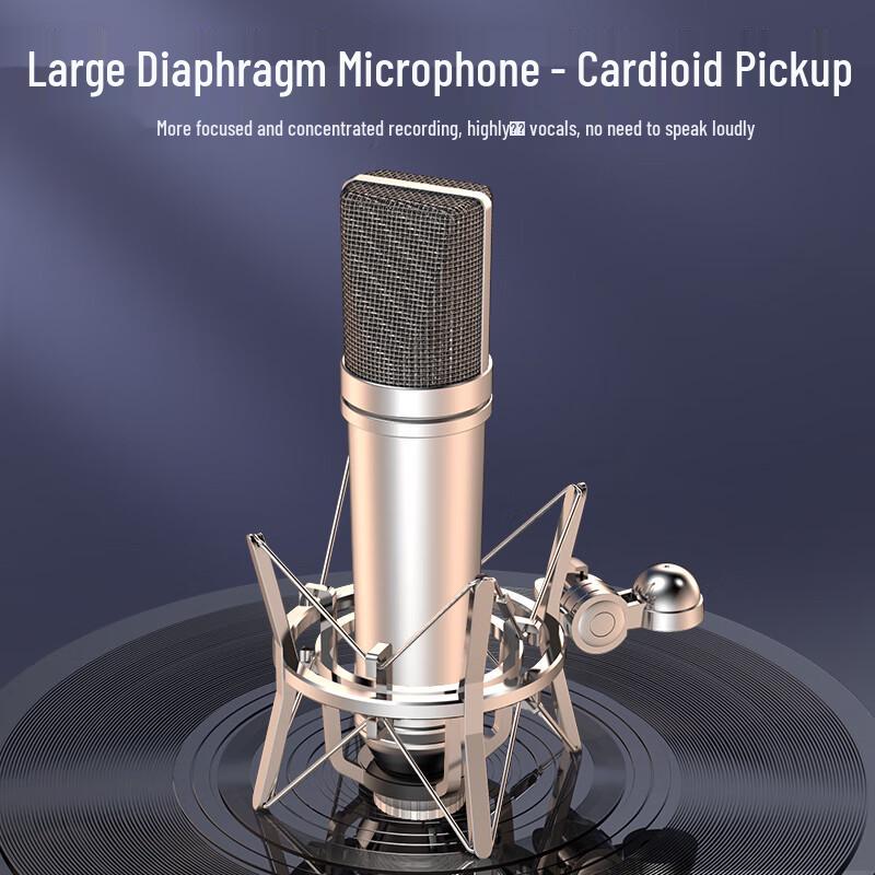 Professional Live Stream Sound Card & Microphone Set