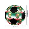 SLASK WROCLAW Soccer Ball Colorful All Ages Machine Stitched PVC Competition Ready Durable High-Bounce.SIZE5