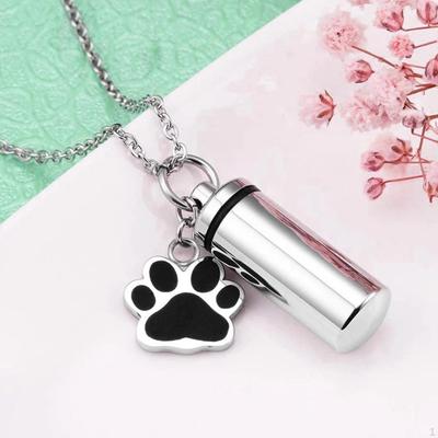 Pet Ash Urn Cremation Memorial Urns Reminded Souvenir with A Paw Pendant Keepsake Best Friend
