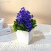 Simulated Bonsai Green Plants Succulent Plant Potted Artificial Flower Ornament Office Desktop Decoration Home Room Decoration