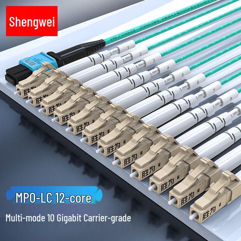 

Shengwei 12-Core MPO-LC OM3 Multimode Fiber Optic Patch Cable 30m
