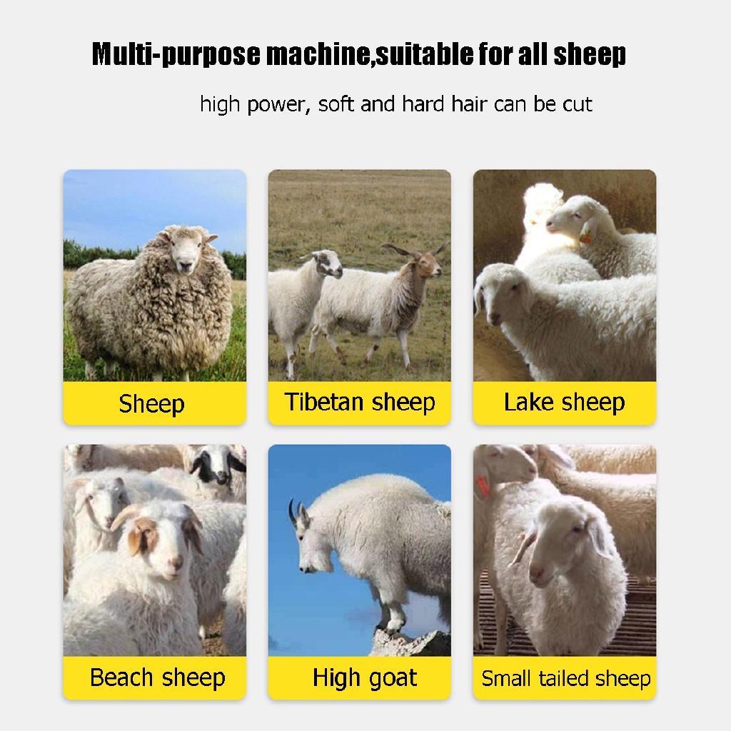 1000W 6 Speed Shear Wool Cut Goat Pet Animal Shearing Cut Machine Farm 13 Teeth Electric Sheep Pet Hair Clipper Shearing Kit