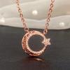 Schicke Mädchen Halskette Accessoires Mode Roségold Farbe Anhänger Alltagskleidung Zarter Statement Schmuck für Frauen