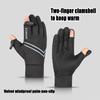 Double Layer Thicken Winter Cycling Gloves Fleece Cold Weather Warm Mittens  Cold Weather
