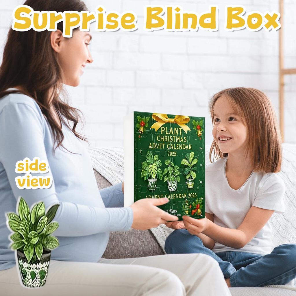 The Countdown Calendar Includes 24 Gifts, Countdown Calendar, And Surprise Gift