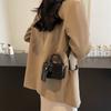 Niche design fashion trend portable small bag women's 2025 autumn contrasting color small square bag high-end single shoulder oblique span bag