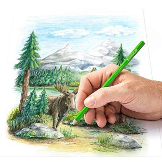 Staedtler Colored Pencils 72 Colors Oil-Based Design Journey 146C M72