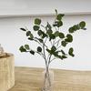 Steli di Foglie di Eucalipto Artificiale Alti 35" Rami di Foglie di Eucalipto Finte per Decorazione Matrimonio Festa Vaso Composizione Floreale Centrotavola per Casa