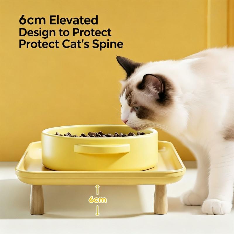 Ergonomic Cats Bowl Dining Table Set For Pet Cats And Dog Water and Food Feeder Feeding Station for Indoor Wet and Dry Food
