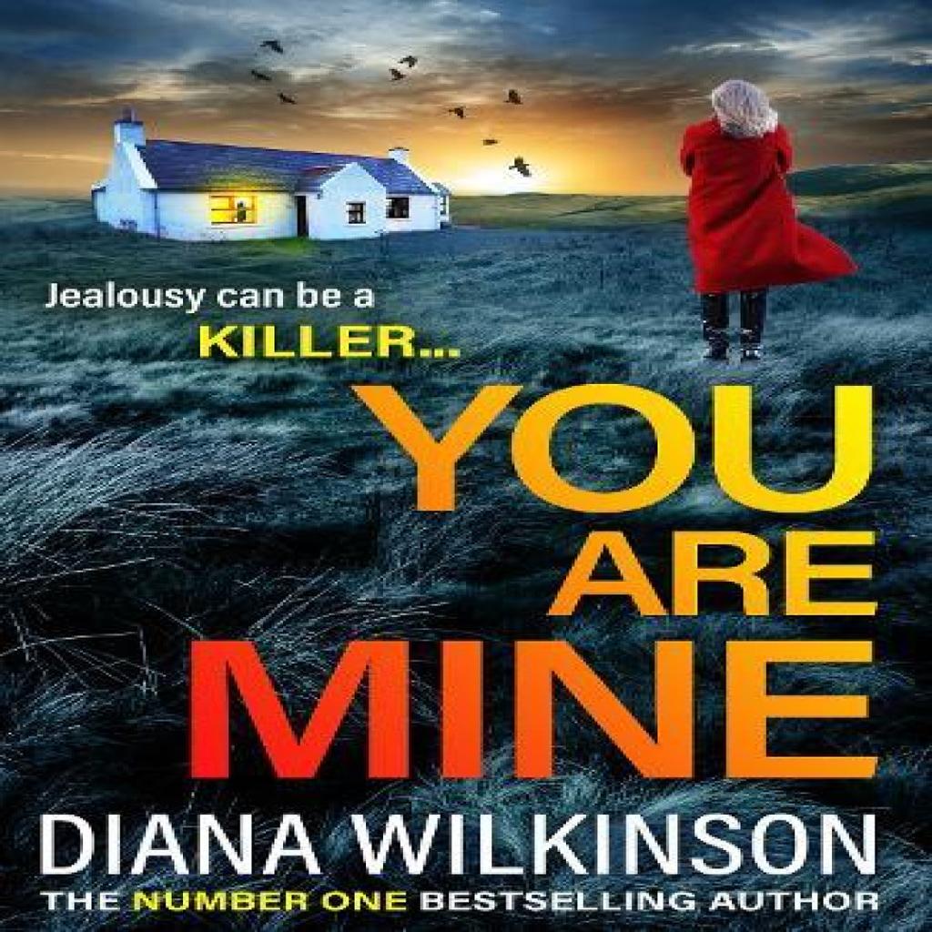 You Are Mine by Diana Wilkinson Paperback Book 9781805497899