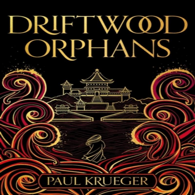 Driftwood Orphans by Paul Krueger Paperback Book 9781473229068
