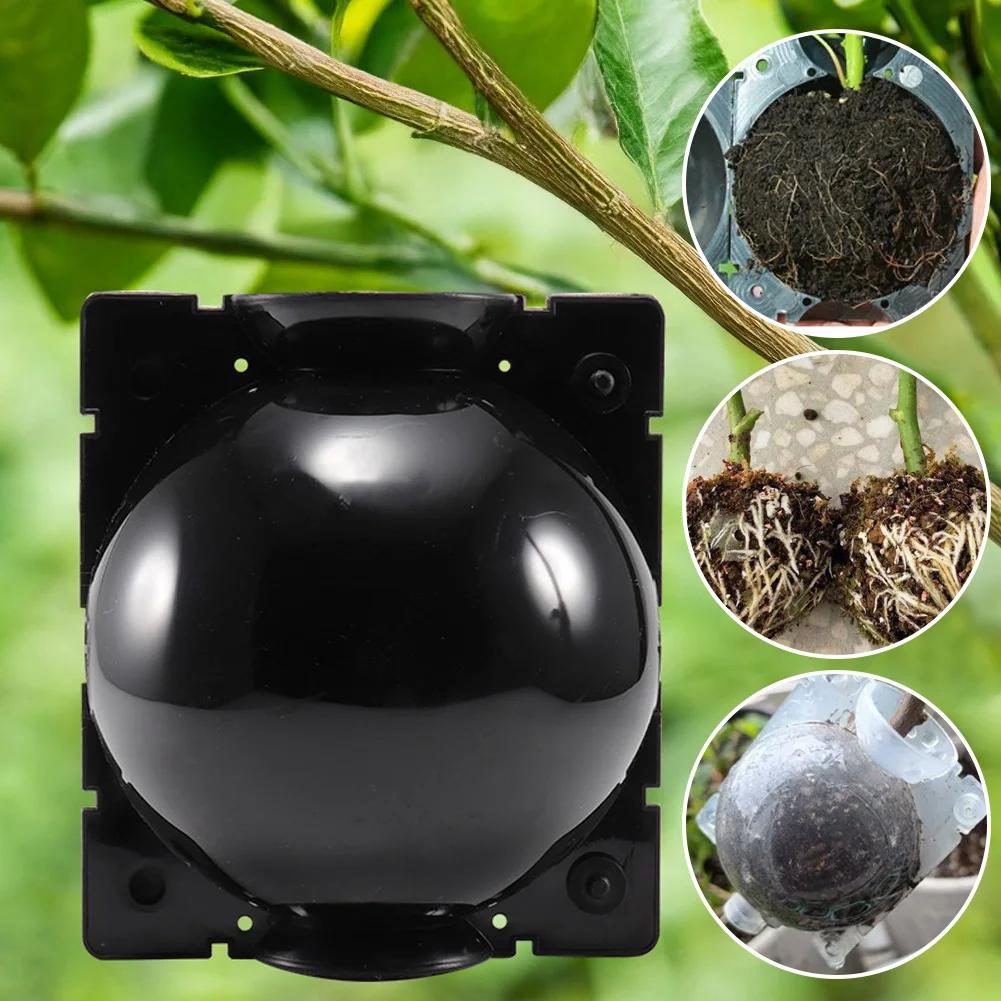Plant Root Growing Box Reusable Cutting Grafting Rooting Ball Garden Propagation S Breeding Equipment Rooting Ball