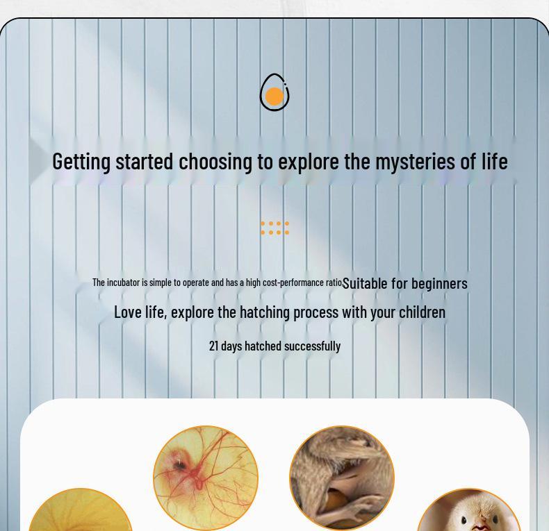 Smart Automatic Incubator for Quail, Duck, and Goose Eggs - Compact and Intelligent Hatching Machine for Home Use