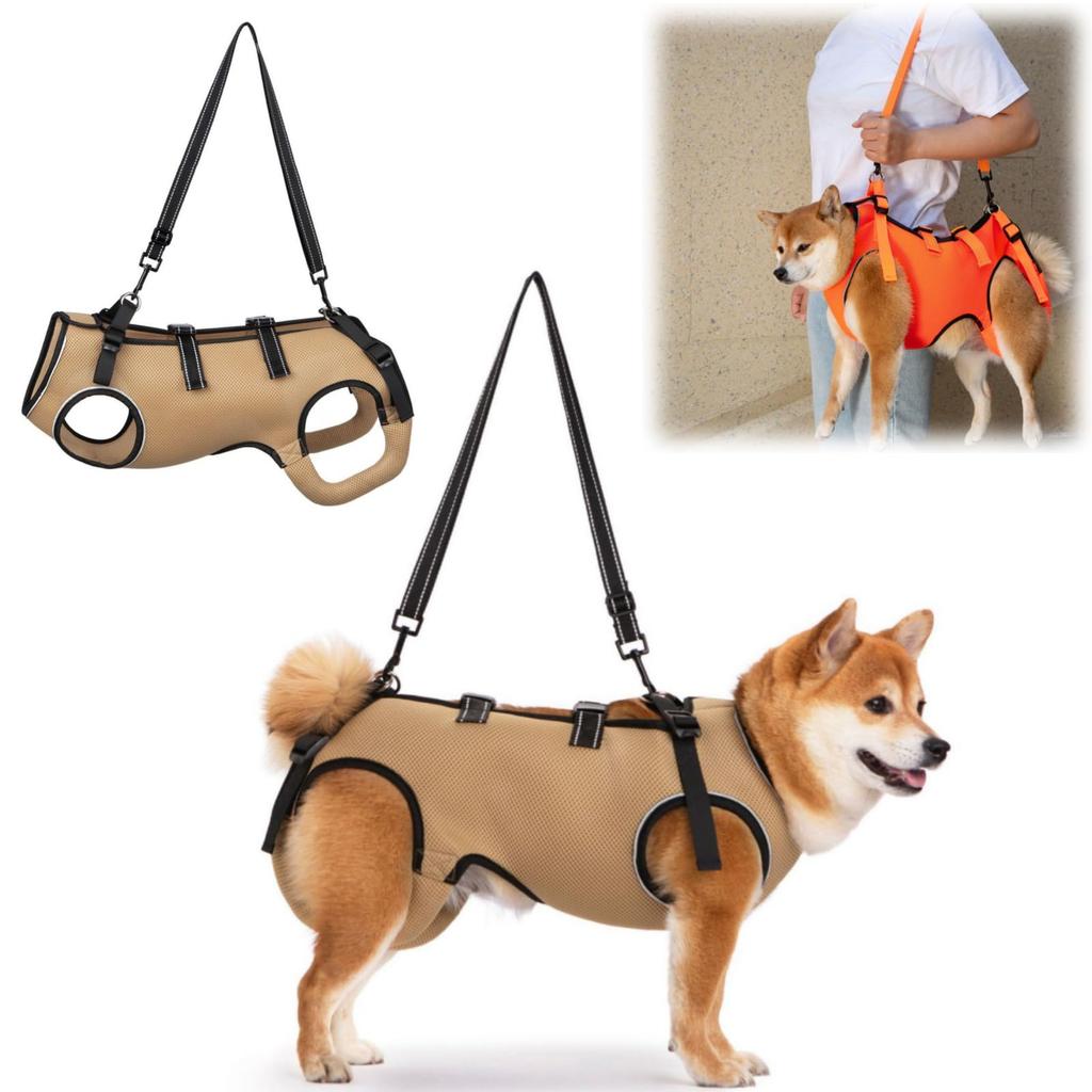 GIIPET Dog Care Dog Care Walking Elderly Care Easy to Put On and Take Elderly Medium Small Assists Front and Back Convenient for Going Out L -