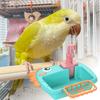 Bird Shower Adjustable Parakeet Bath Bathtub With Faucet Feeding Bowl For Pet Deck Porch Backyard Balcony Patio Yard Indoor