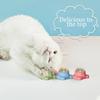 Crab Catnip, Interactive Teeth Cleaning Crab Spinning Licking Ball Toy For Cats Kittens