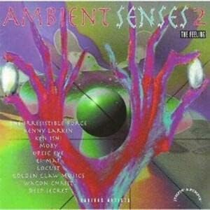 

CD VARIOUS - Ambient Senses 2 CDTOT16 Japan Dance & Electronica Used