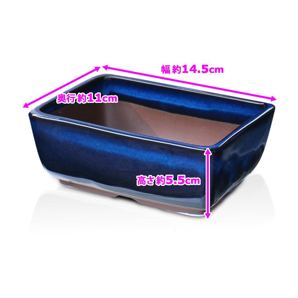 Umekichi Bonsai Bonsai Sea Cucumber Yokkaichi Banko Miscellaneous Compact Supplies, 4.5-inch Pot, Nade-kaku, Blue, Glaze, Ware, Shallow, Rectangular,