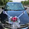 Decorazione per Auto Nuziale Senza Pollini Nastro di Garza Multicolore per Auto Fiocco 'Just Married'