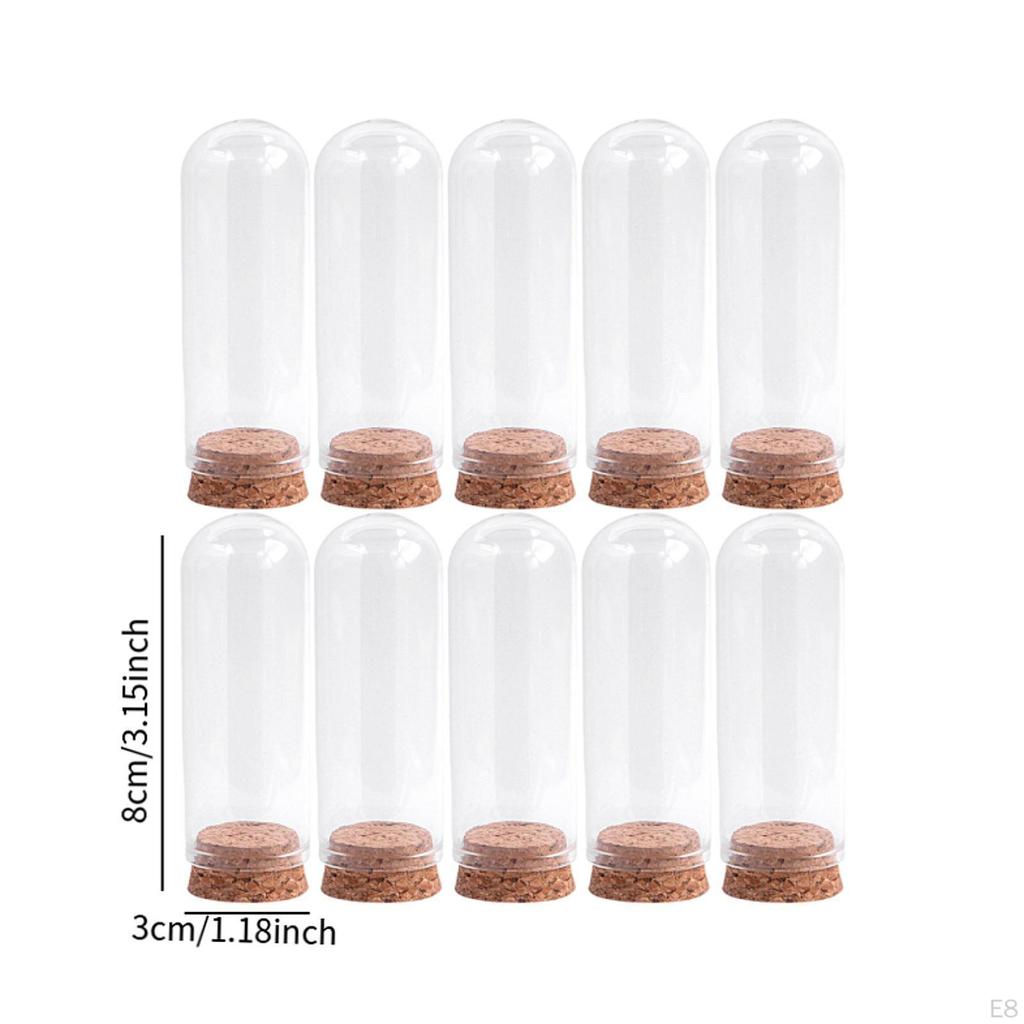 10er-Pack Glas-Display-Glocken für die Präsentation von Sammlerstücken