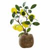 Multicolor Artificial Fruits Bonsai Pomegranate Lemon Orange Grey Flowerpot Fruit Tree Potted Green Leaves Waterproof