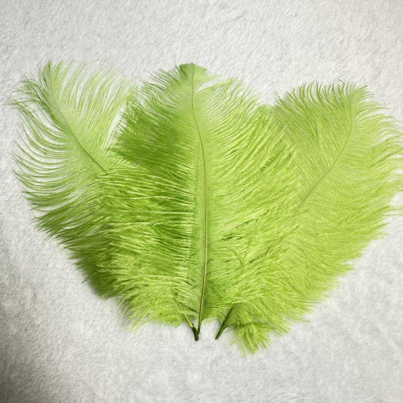 50pcs/lot  Black Ostrich Feathers 6-14 Inch 15-40cm for Wedding Decor Craft  Handicraft Accessories Table Centerpieces Carnival