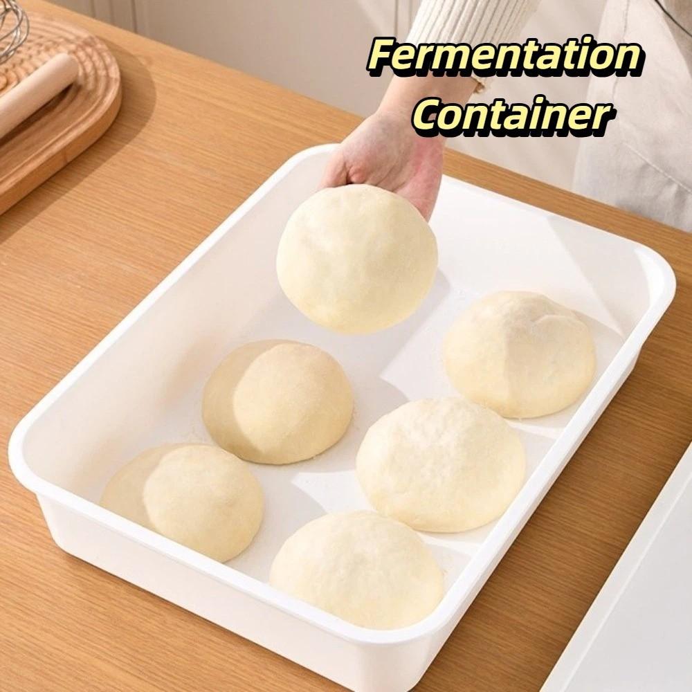 1/2 Pieces with Cover Dough Proofing Box Air Tight Pizza Dough Box  Baking Enthusiasts