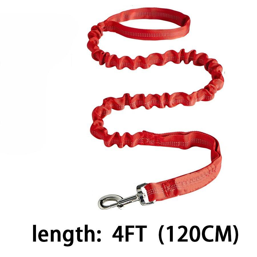 Laisse pour chien d'entraînement à amorti élastique Preuve d'explosion Accessoires pour la promenade du chien pour chiens de taille moyenne à grande rouge