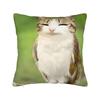 Funny Smiling Meowl Cat (2) Pillow Case Morden Pillow Cover Design Pillowcases For Sofa Bedroom Home Decor