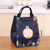 Cartoon Cooler Lunch Bag for Picnic Kids Women Travel Thermal Breakfast Organizer Insulated Waterproof Storage Bag Lunch Box
