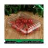 Shixun Disposable 300g Fruit & Vegetable Boxes (100-Pack)