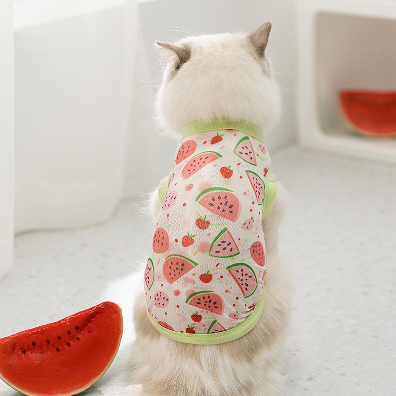 Spring and summer thin cat fruit full print breathable mesh eyes small dog dog two-legged vest pet cat clothes
